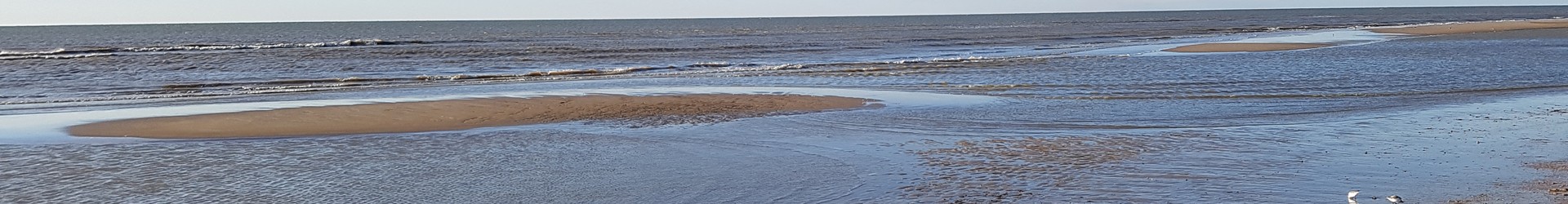 Strand(10).jpg