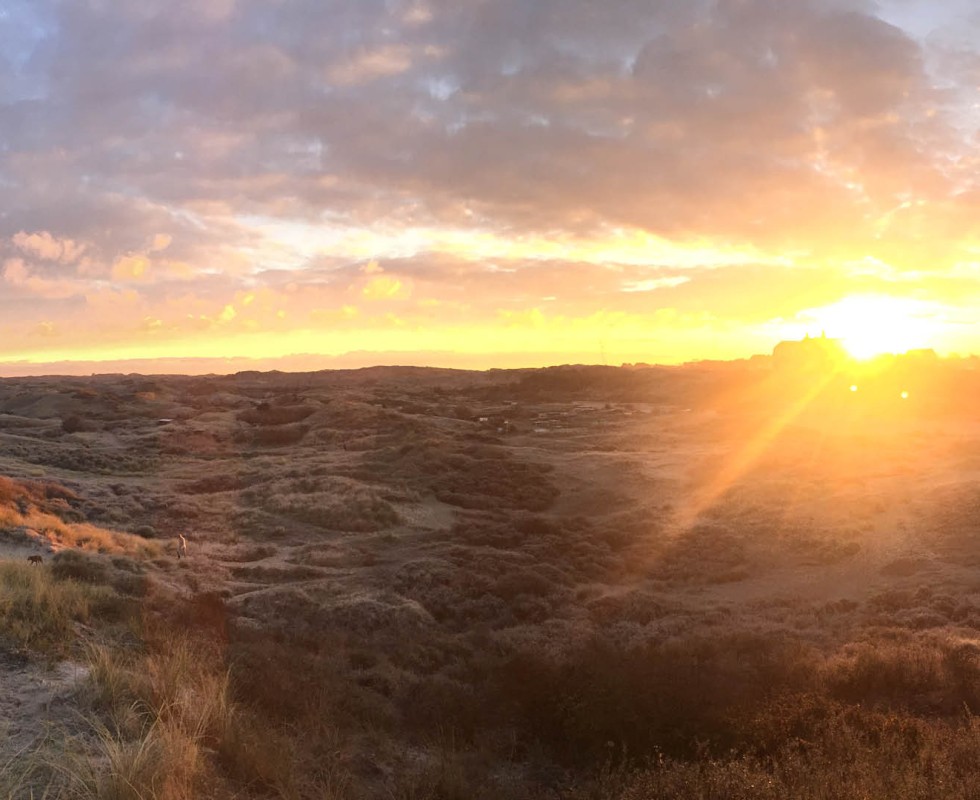duinen(1).jpg