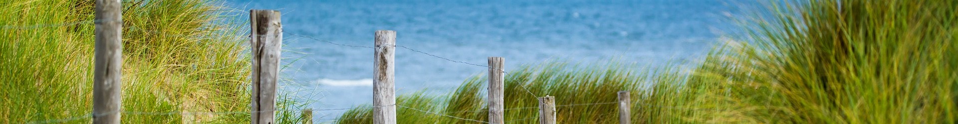 Strand_ingang.jpg
