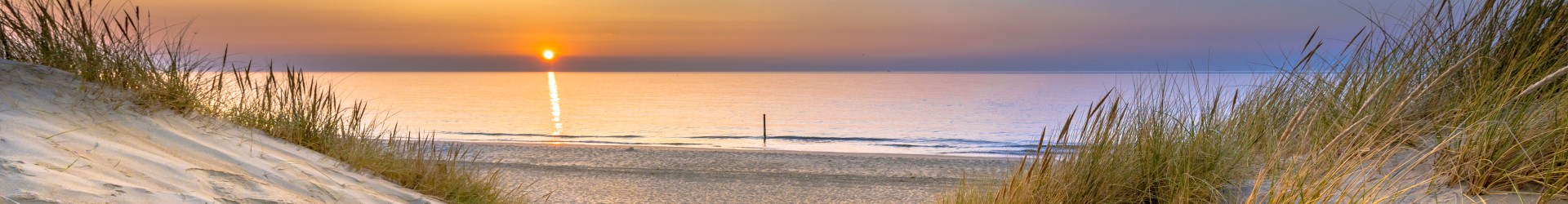 Strand en Duinen